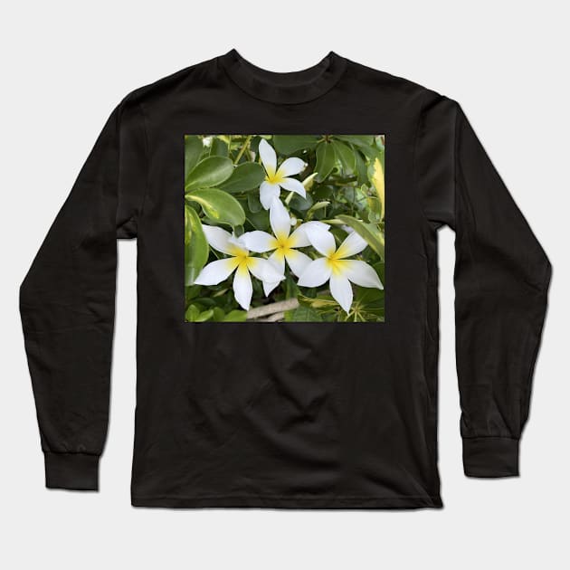 Plumeria Flowers Long Sleeve T-Shirt by Sparkleweather